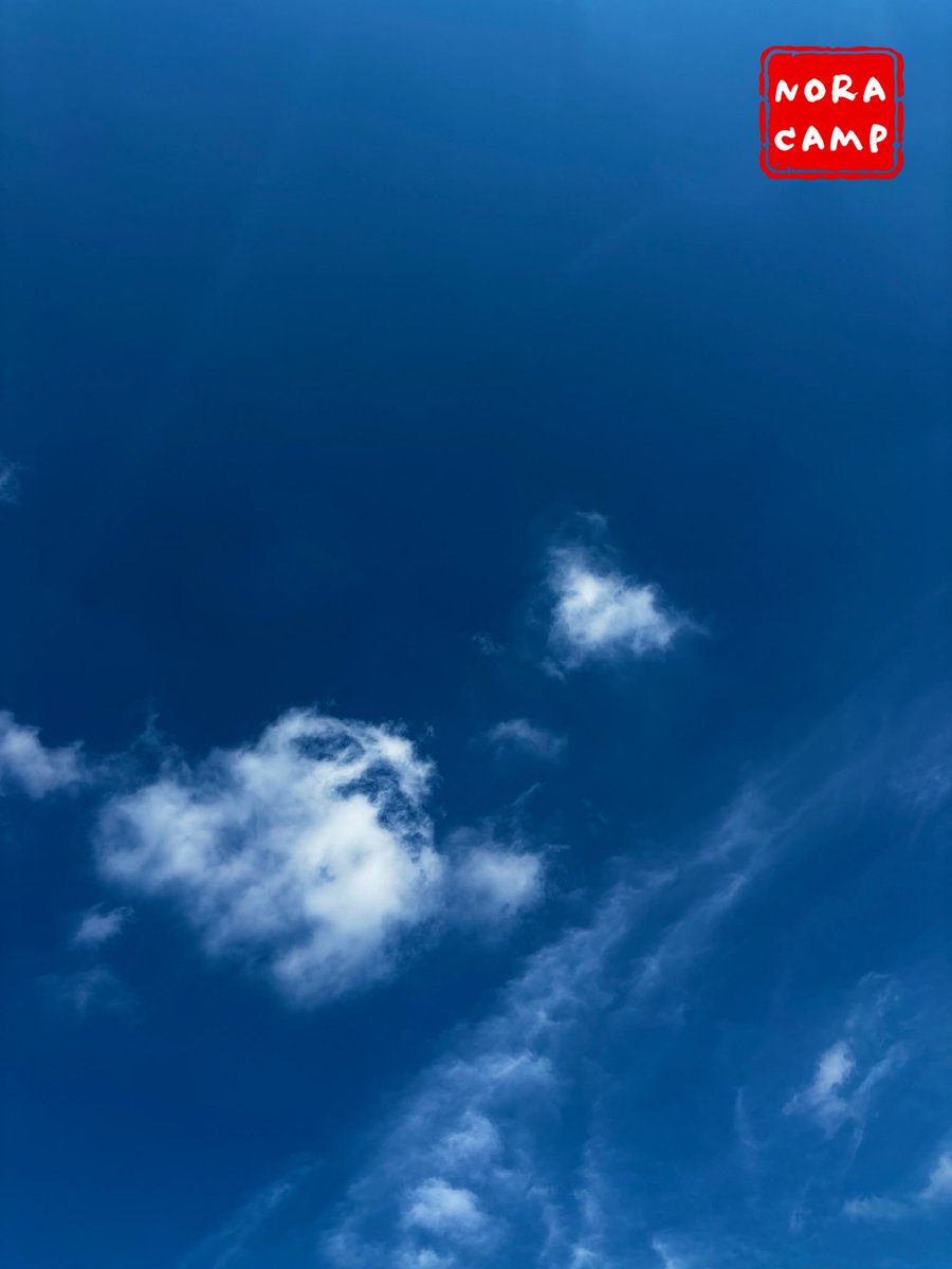 norari_camp's tweet photo. 8月最後のお休み

上の子をどこかに連れ出したいけど
頭痛がひどい……

空気は秋の装いですね︎︎。

#いまそら #雲のある風景 #休日の過ごし方 #夏の終わり https://t.co/m1PdSwoken