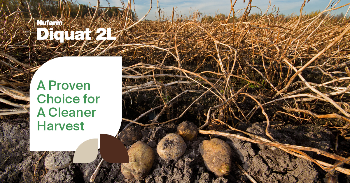 When efficiency is the name of the game, desiccation with #Diquat performs. Fast acting and rainfast in 30 min. nufarm.com/uscrop/product…
#Potatoes #Ag #AgTwitter #PostHarvestProtection #PotatoFarmers