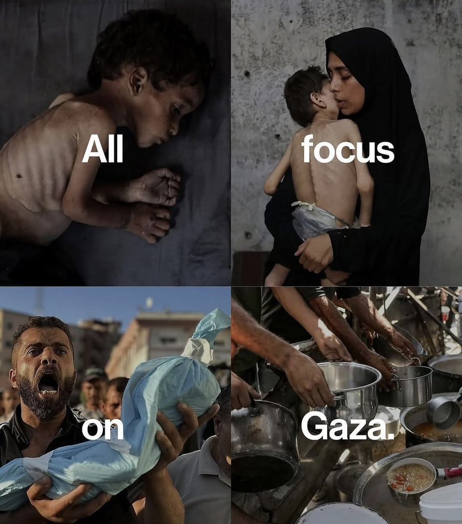 yousef_ki1's tweet photo. Humanity check.
Do you still with us ??!
If you’re scrolling, reply with a dot 💔🇵🇸 https://t.co/qqwmXygNTM