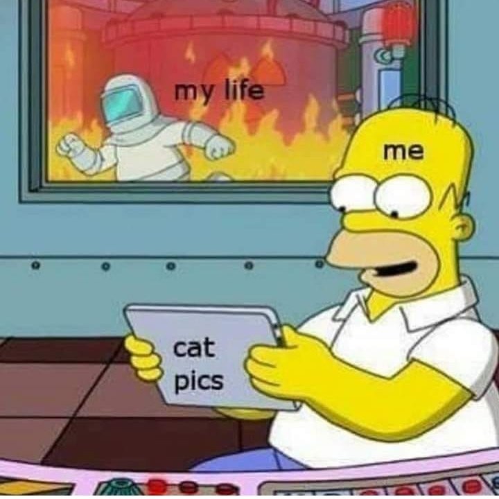 PunchingCat's tweet photo. https://t.co/HIvNuuaXVh