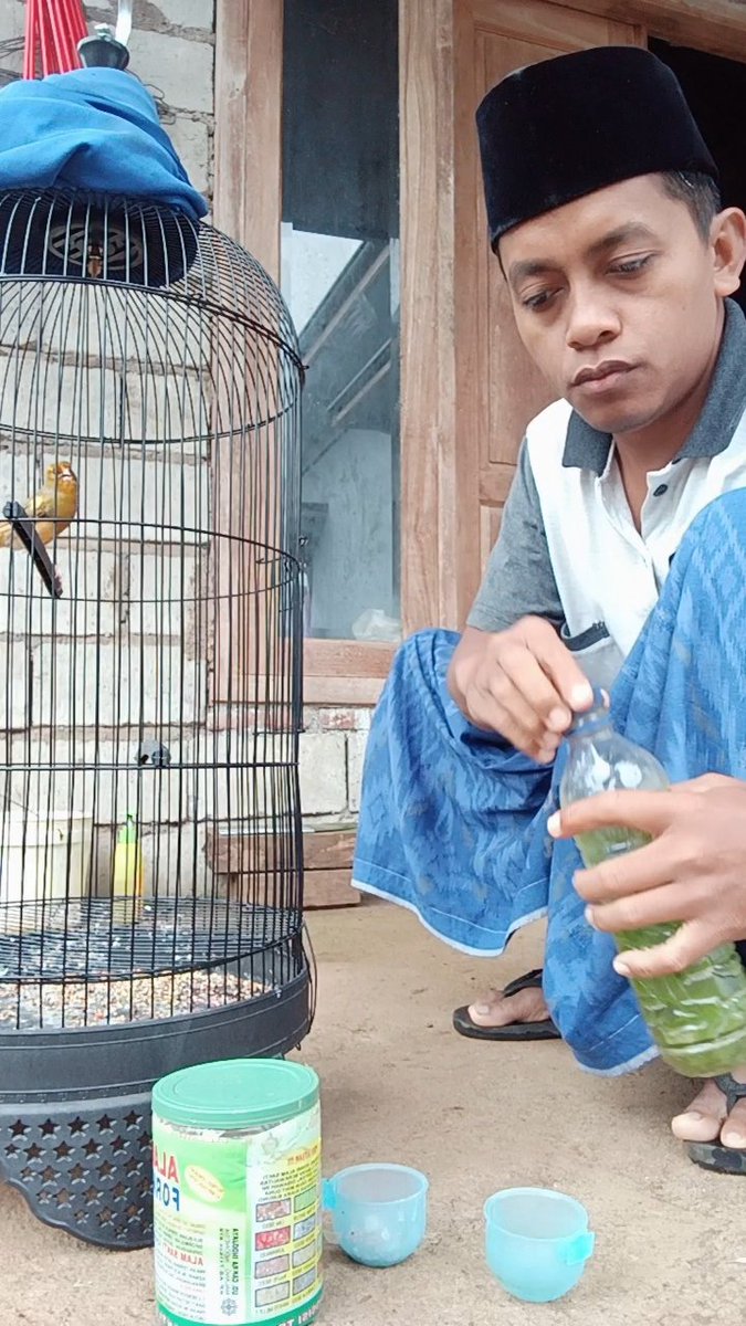 zainuriofficial's tweet image. Walau kecil, suaranya mampu membangkitkan semangat alam. Meski tak tahu apa yang akan dihadapi hari ini, ia tetap bernyanyi, tetap terbang, tetap berusaha.
#fypシ゚viral #pecintaburung #inspirasi #bangzain #zainuriofficial