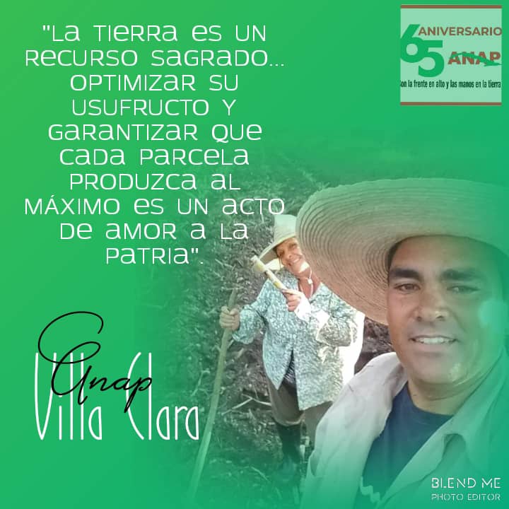 La organización campesina ya está en 65 Aniversario, la misión más importante defender los intereses de la Revolución por encima de cualquier interés de clase, continuamos produciendo alimentos para el pueblo .con la frente en alto y las manos en la tierra
#AnapVillaClara