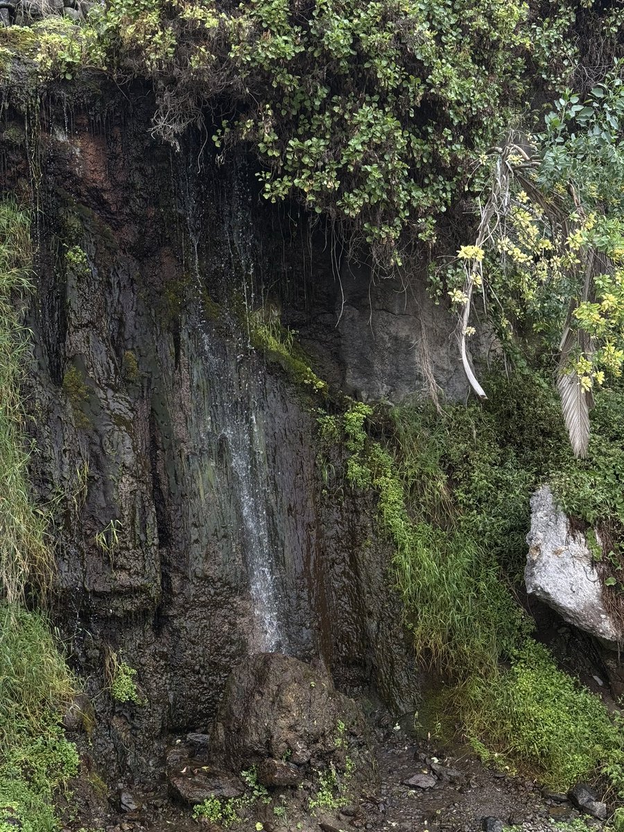 _danoglez's tweet image. A veces no soy consciente de que tengo el paraíso a 10 minutos de casa