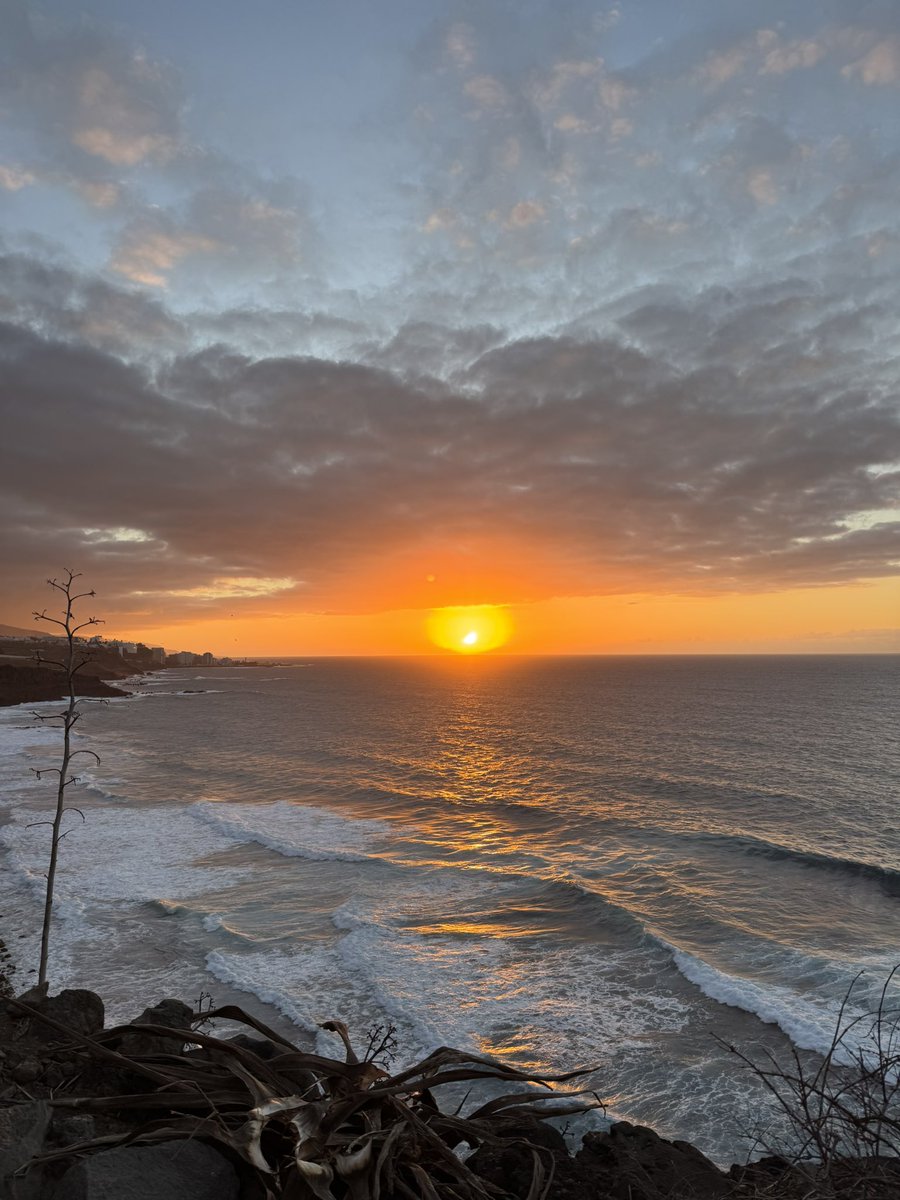 _danoglez's tweet image. A veces no soy consciente de que tengo el paraíso a 10 minutos de casa