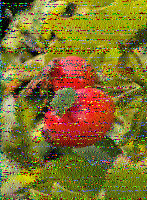 ML_HH's tweet photo. @swradiogram Thanks for another nice program of SWRadiogram on 9265 kHz. Signalstrength in northern Germany was about S8 with some static noise by local thunderstorms. Thanks again and lot of greetings from Germany! https://t.co/5uZvqetqty