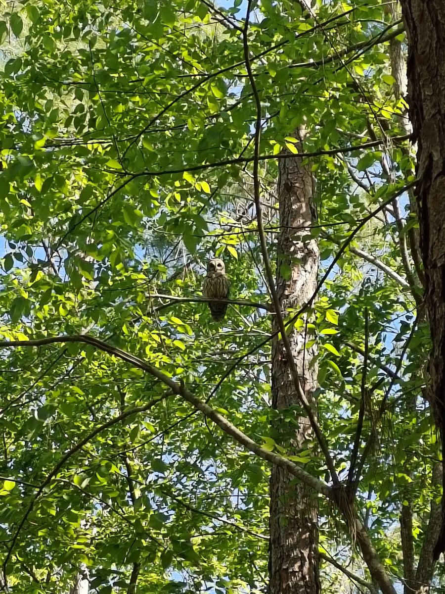 Anna (@lastingdreams) on Twitter photo 