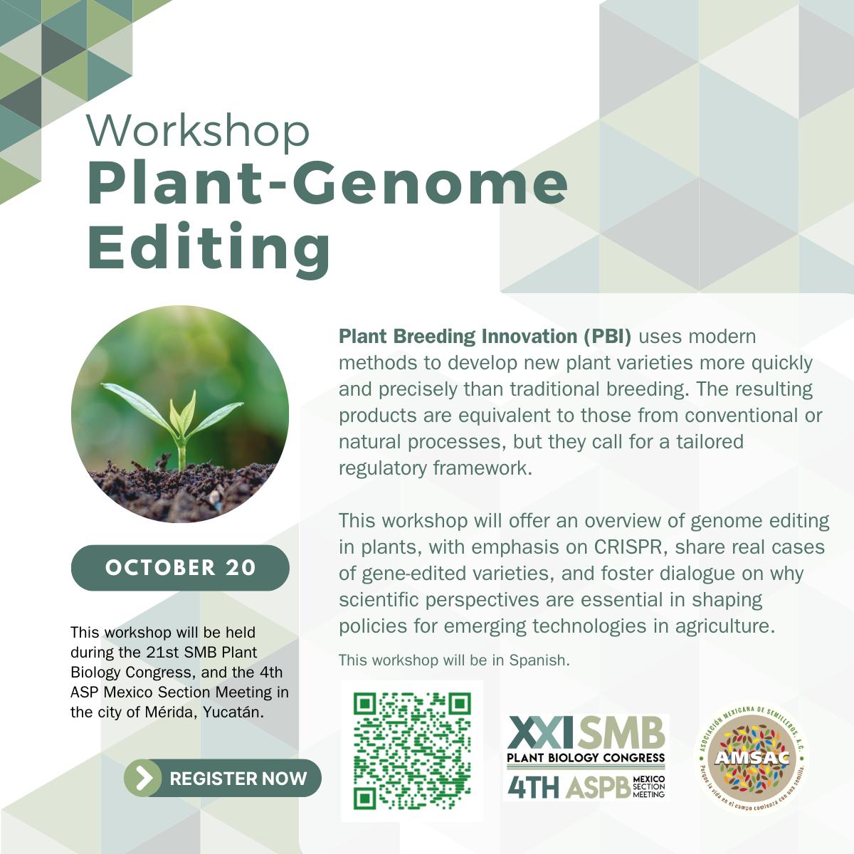 SMBPlant tweet media