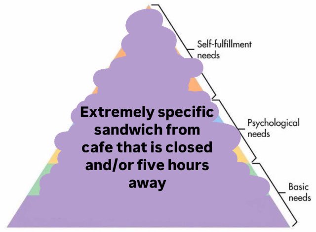 horse dentist (@equine__dentist) on Twitter photo 