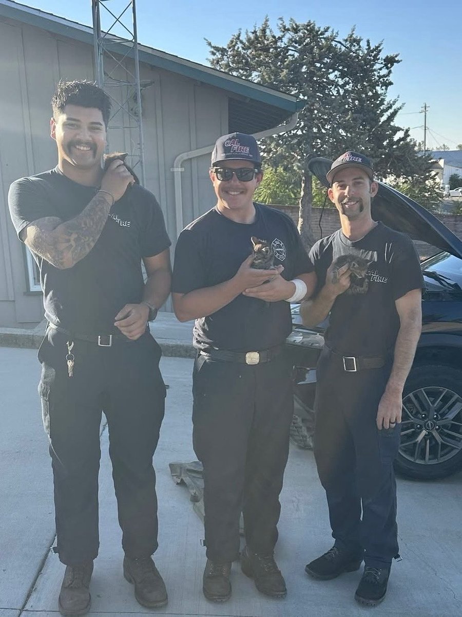 CAL_FIRE's tweet image. This morning, a motorist pulled into CAL FIRE TCU’s Copperopolis Station after hearing faint cries from her vehicle. What she thought might be a mechanical problem turned out to be something entirely different as they heard tiny meows coming from her engine.
 
Firefighters…