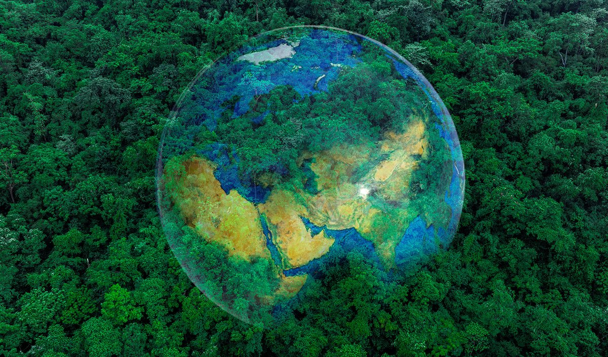 今日は、有害な紫外線から地球を守っているオゾン層の破壊をくい止め保護するための日です。地球温暖化の影響は年々増していますが、当グループでは温室効果ガスの削減のほか環境負荷低減活動を推進しています。
#オゾン層保護のための国際デー 

当社の取り組みはこちら👇
sony-semicon.com/ja/company/sus…