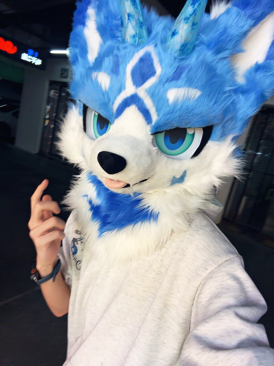 Little fox tweet media