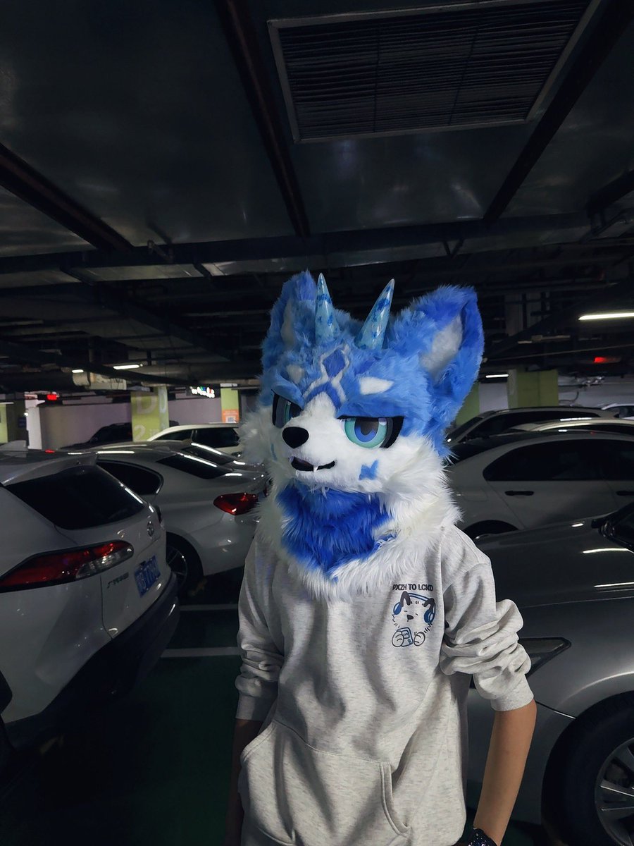 Little fox tweet media
