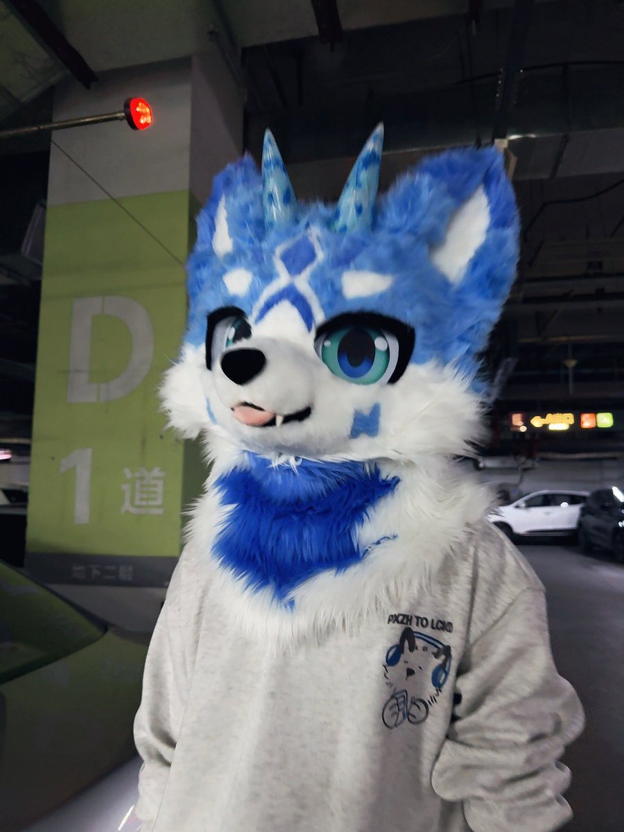 Little fox tweet media