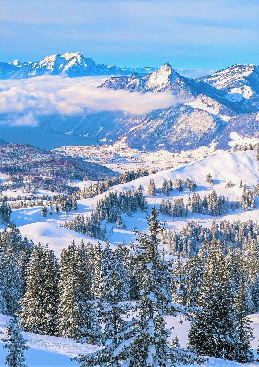 SamNelson193168's tweet photo. Hoch-Ybrig,Switzerland. https://t.co/csHBHFjhzx