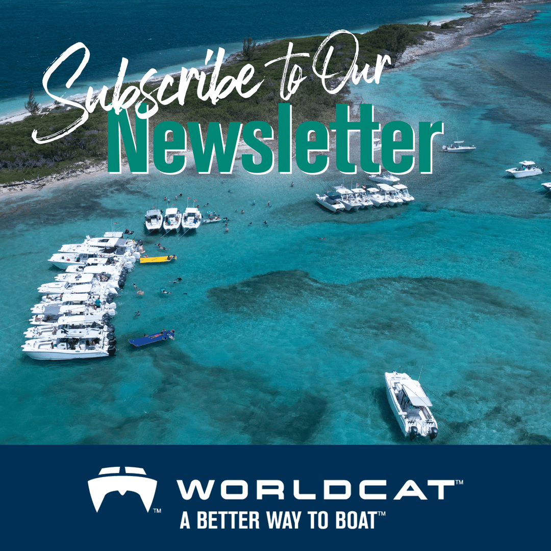 World Cat Boats tweet media