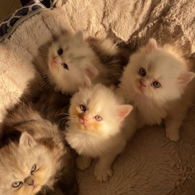 MLTH31's tweet photo. #صورة_جديدة_للملف_الشخصي https://t.co/TqWpJ5EChg