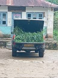 jmmsmanoj's tweet photo. @NewsCenterLk "ස්වාමිනී, ඔය සහෝදරයෙක් දෙන්නෙක් ලංකාව ඇතුලේ ආණ්ඩුවේ වාහන වලින් උන්ගෙ තණකොළ පටවන් යනවා වගේ පොඩි පොඩි මුදල් අවභාවිතයන් කළාට අවුලක් නෑ. රට ඇතුලෙනෙ. එළියෙ කරන එක තමයි අවුල."

, අනාගතයේදී. https://t.co/NTHHhfCcYT