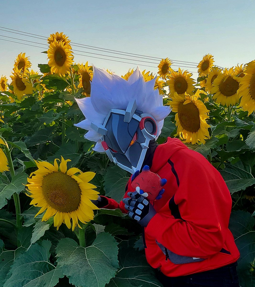 Took the lil guy to a sunflower field #Merchzader