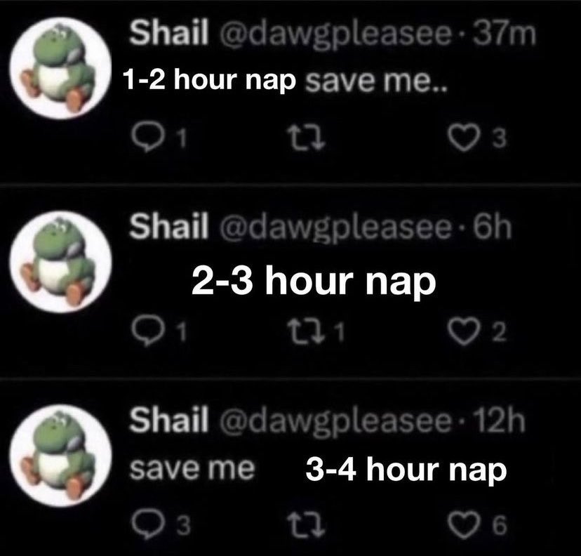 horse dentist (@equine__dentist) on Twitter photo 