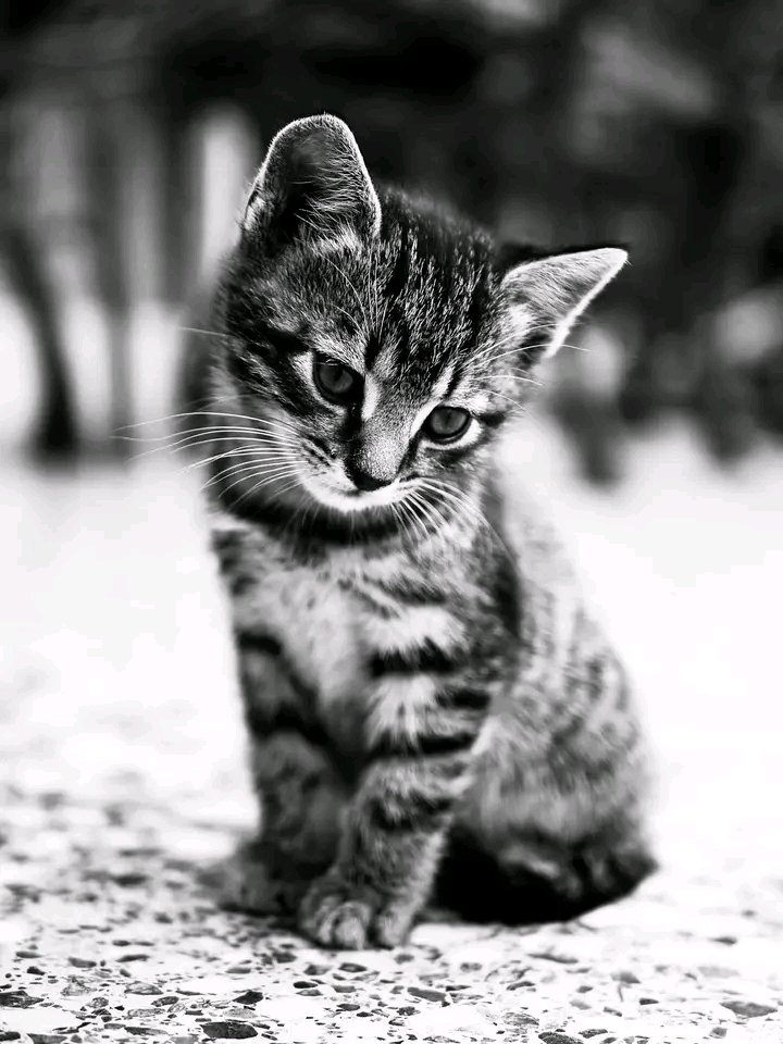 "Kindness is not an act , it's a reflection of your soul.