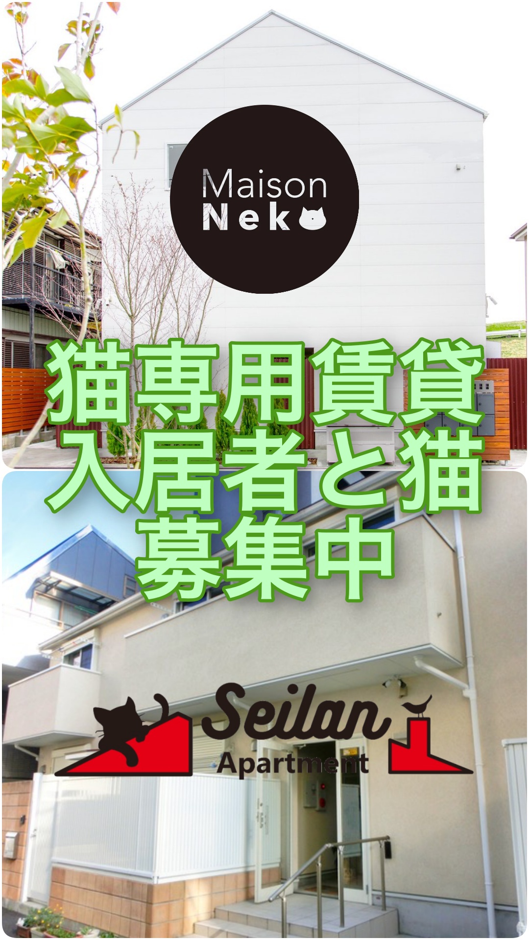 𝖦𝖺𝗍𝗈𝗌 𝖠𝗉𝗍 木津イチロウ | 猫専用賃貸プロデューサー