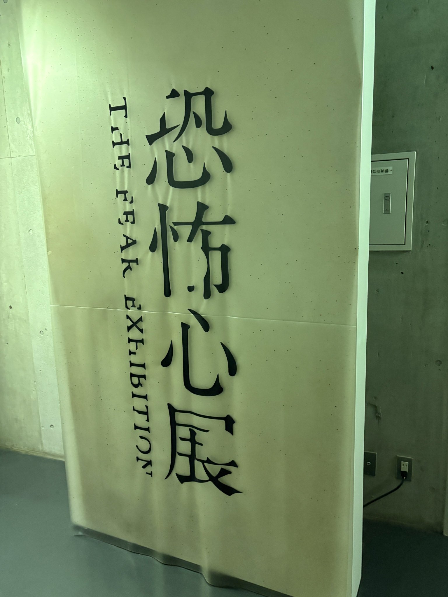 かぷ民の格納呪霊 rectangle_large_type_2_13b2a5b