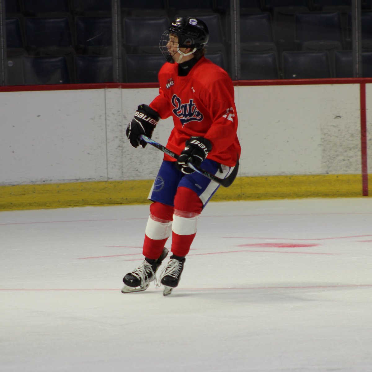 Regina Pats tweet media