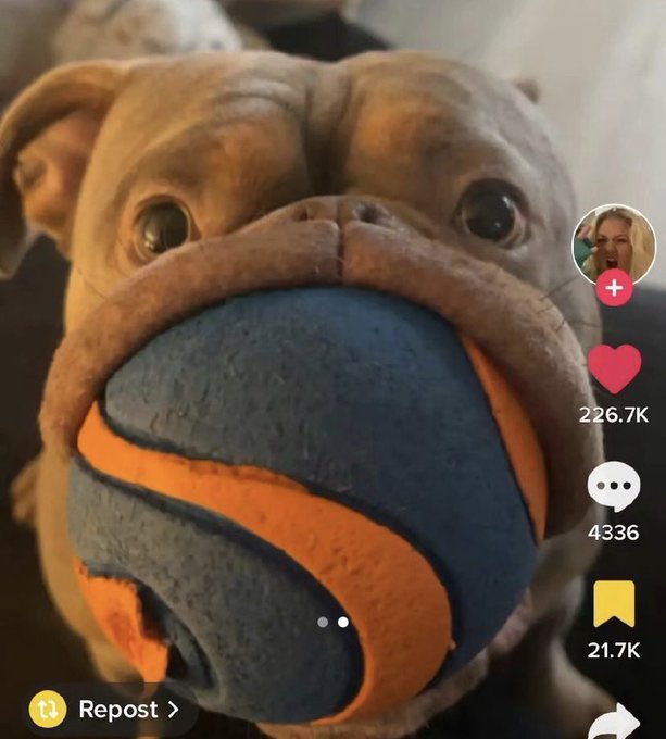 he ball too big for he got damn mouth