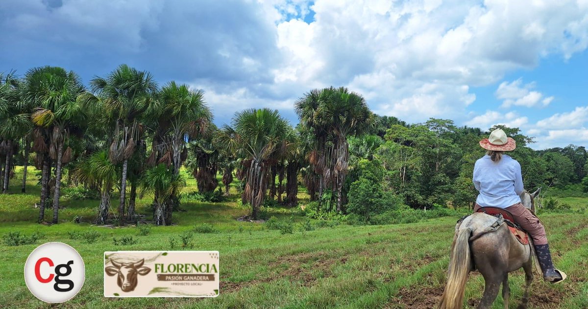 🤔🐄 ¿Convertir tu finca en reserva? La decisión que podría cambiar tu negocio para siempre.

contextoganadero.com/ganaderia-sost…

<a href="/Fedegan/">FEDEGAN</a> <a href="/jflafaurie/">José Félix Lafaurie</a> <a href="/PLFlorencia_/">FLORENCIA PASIÓN GANADERA</a> <a href="/oscar_tolo68004/">OSCAR TOLOSA</a>