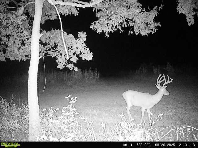 🤔 good looking 3.5 yr old. When you give them what they need they will stop your heart😆😆😆