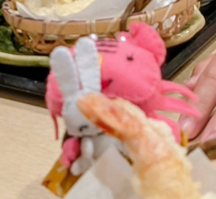 Kanibucho's tweet photo. 月に一度の女子昼食会🍱
今日はカニ子がウサ子を誘い、美味しい天麩羅うどんをいただきました🍤
ところが、エビの尻尾とウサ子の耳の区別がつかず、かじってしまったカニ子‼️
まだボケる年齢じゃありませんよ🤣 https://t.co/NMIv940ymY