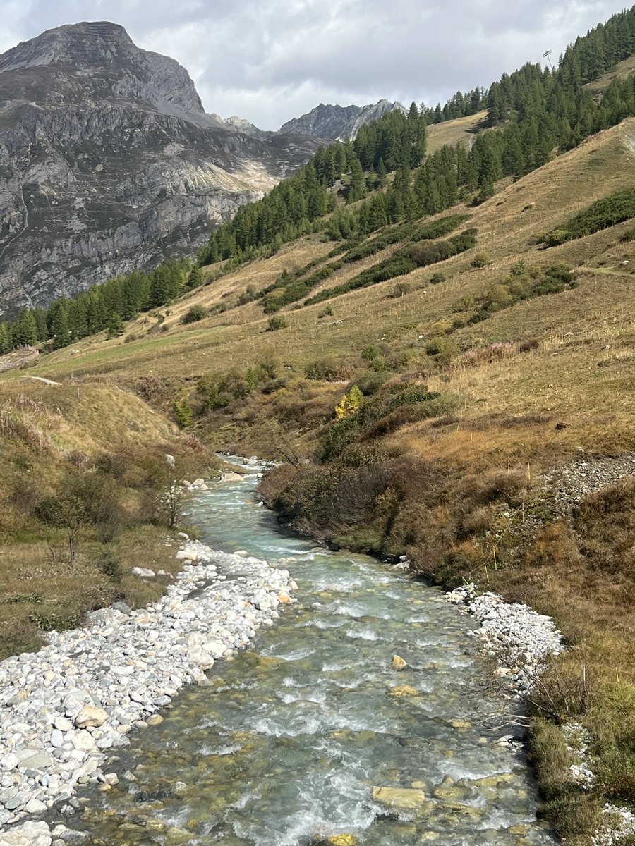 Bringing the curtain down on August’s #SummerSeries today… standing on a little bridge over the Ruisseau de la Calabourdane, Sept 2024.