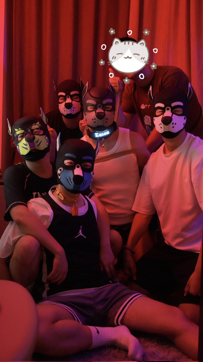 🐶🐶🐶🐶🐶🐱