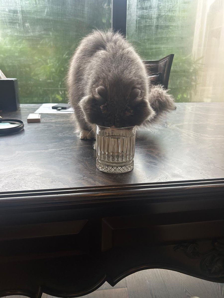 “Alexa, do the exercise for me !”

A big Nooooooo

Today do an extra ordinary for a happy ending. Wish you all a very happy National Sports Day. 
“Go Play hard !”

<a href="/manav_rachna/">Manav Rachna</a> <a href="/NRAI_India/">NRAI</a> <a href="/DeoKalikesh/">Office of Kalikesh Singh Deo</a> <a href="/DiggySinghDeo/">Digvijay Singh Deo</a> <a href="/Padmadeo/">Vinayak Padmadeo</a> <a href="/rahulkanwal/">Rahul Kanwal</a> <a href="/AraniBasuTOI/">Arani Basu</a> <a href="/neerubhatia3/">neeru bhatia</a>