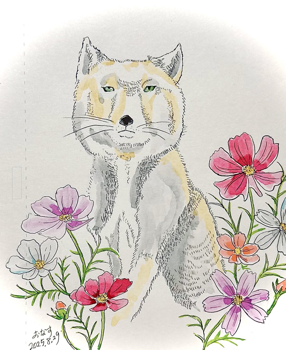 チベットスナギツネ　#水彩画