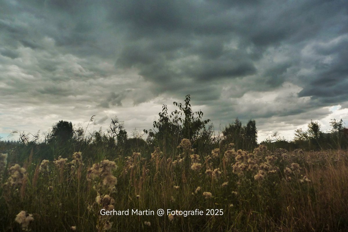 Der Himmel in grau, dunkle Wolken ziehen auf, ich atme den Regen, ertrage das Leben. Habt einen wunderschönen Freitag.
