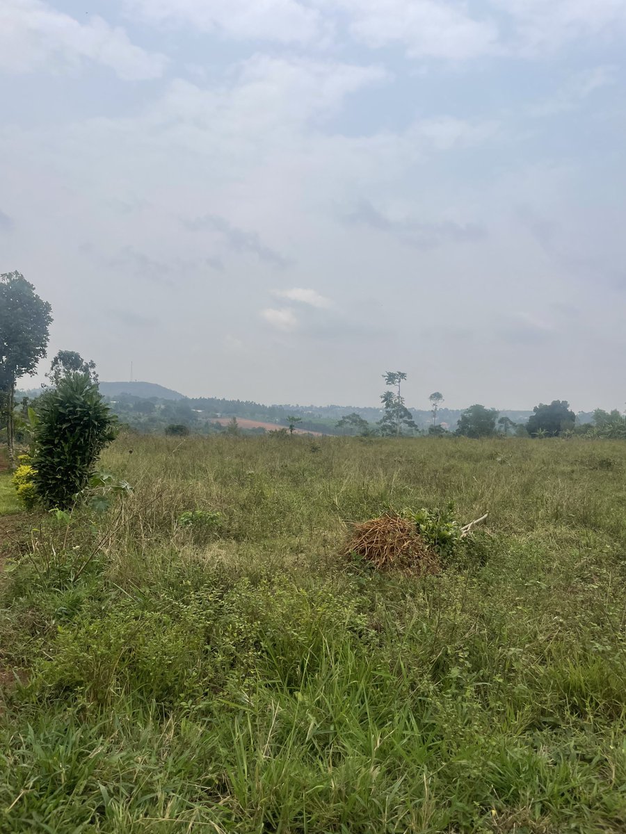 bruno_akampa's tweet image. Selling Land in different areas!

- Kira
- Bulindo
- Nabusugwe
- Kitukutwe
- Nakwero-Nakasajja

• Busukuma
• Kiwenda
• Busiika
• Zirobwe

* Bwebajja
* Kawuku
* Kasanje
• Bwerenga
* Lutembe

✓ Mityana Road
✓ Kayunga
✓ Namusera
✓ Kakiri

- Mbarara
- Bunyonyi

📞 0704408763