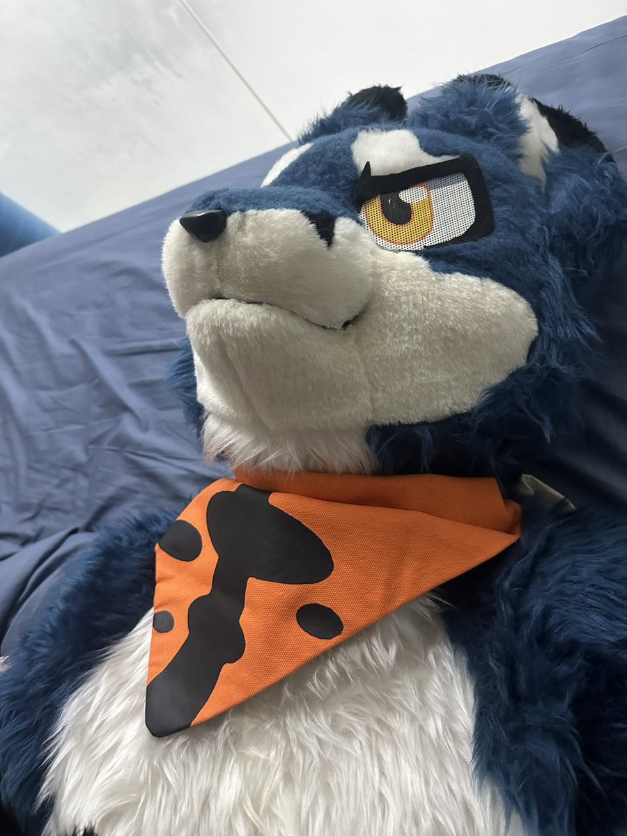 嗨！

オイラ泓影(๑╹ω╹๑ )

#初めまして
#七夕快乐