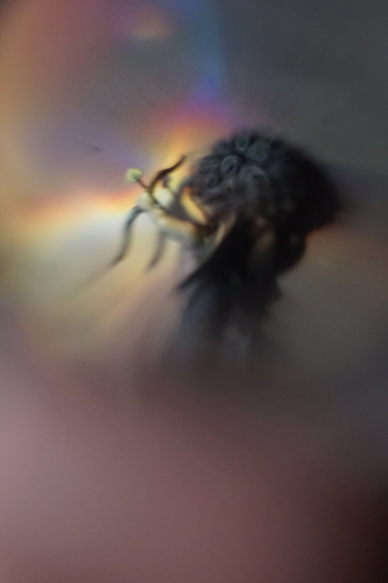 When Saints Go Machine tweet media