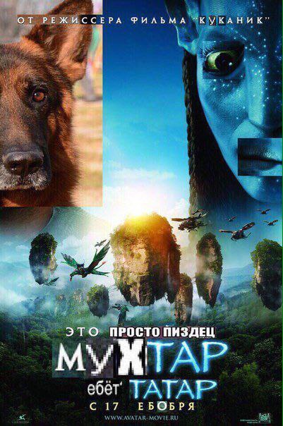 catsquatch's tweet photo. @memesmymemes https://t.co/4KEuYxdJ6u