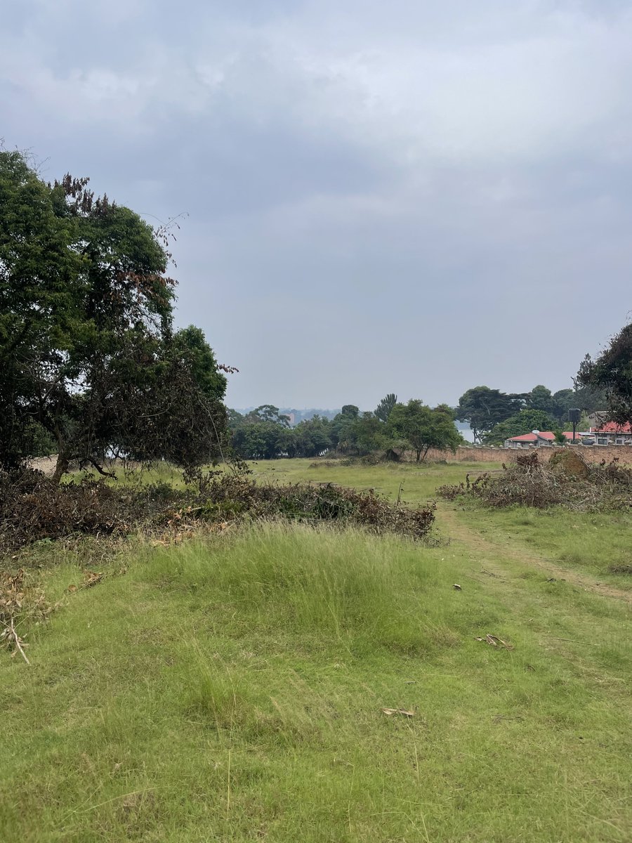 bruno_akampa's tweet image. Selling Land in different areas!

- Kira
- Bulindo
- Nabusugwe
- Kitukutwe
- Nakwero-Nakasajja

• Busukuma
• Kiwenda
• Busiika
• Zirobwe

* Bwebajja
* Kawuku
* Kasanje
• Bwerenga
* Lutembe

✓ Mityana Road
✓ Kayunga
✓ Namusera
✓ Kakiri

- Mbarara
- Bunyonyi

📞 0704408763