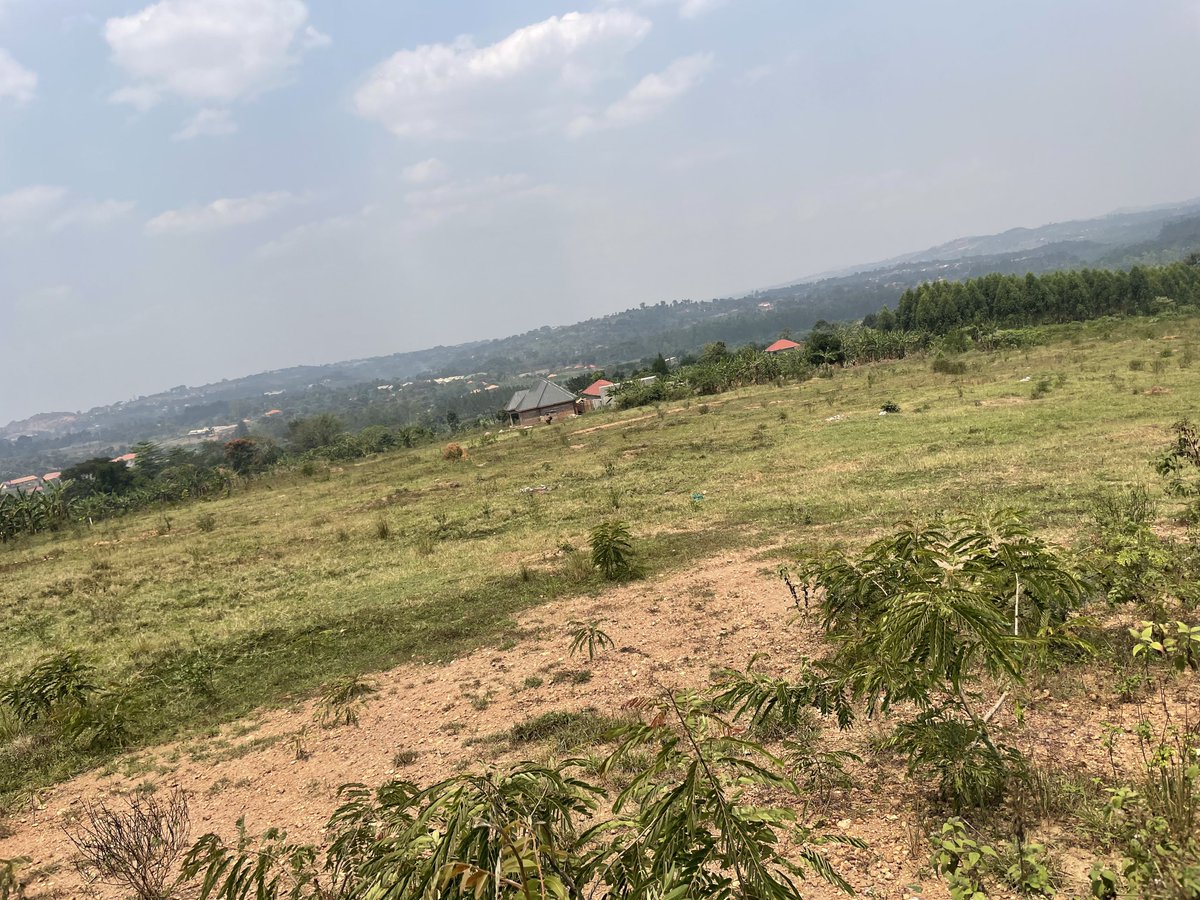 bruno_akampa's tweet image. Selling Land in different areas!

- Kira
- Bulindo
- Nabusugwe
- Kitukutwe
- Nakwero-Nakasajja

• Busukuma
• Kiwenda
• Busiika
• Zirobwe

* Bwebajja
* Kawuku
* Kasanje
• Bwerenga
* Lutembe

✓ Mityana Road
✓ Kayunga
✓ Namusera
✓ Kakiri

- Mbarara
- Bunyonyi

📞 0704408763