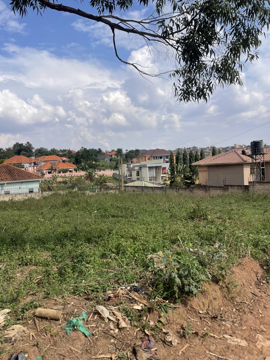 bruno_akampa's tweet image. Selling Land in different areas!

- Kira
- Bulindo
- Nabusugwe
- Kitukutwe
- Nakwero-Nakasajja

• Busukuma
• Kiwenda
• Busiika
• Zirobwe

* Bwebajja
* Kawuku
* Kasanje
• Bwerenga
* Lutembe

✓ Mityana Road
✓ Kayunga
✓ Namusera
✓ Kakiri

- Mbarara
- Bunyonyi

📞 0704408763