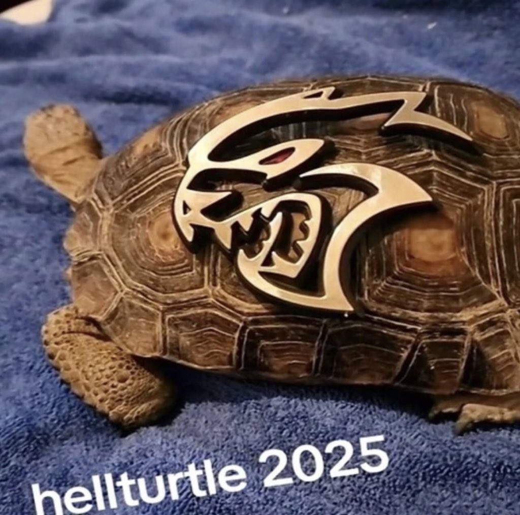 $B. (@maybebrendo) on Twitter photo 