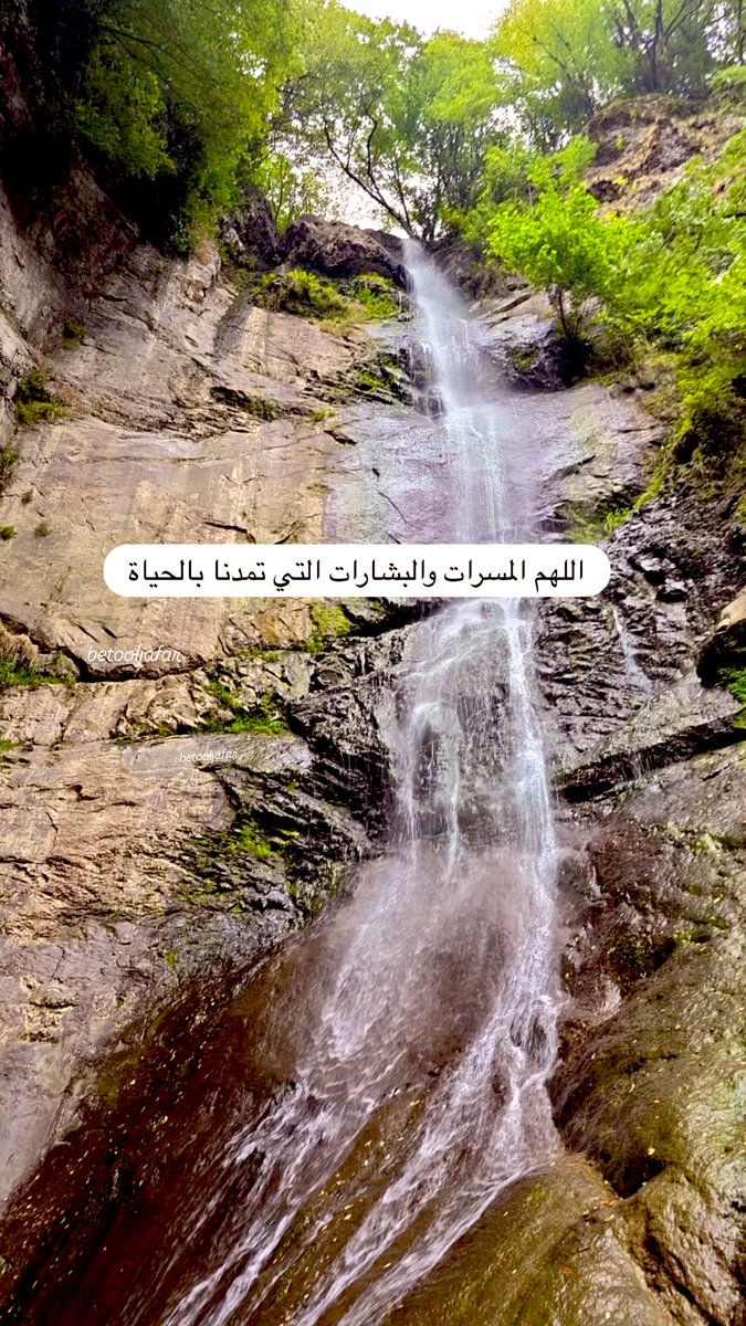 أم مـحـمد tweet media