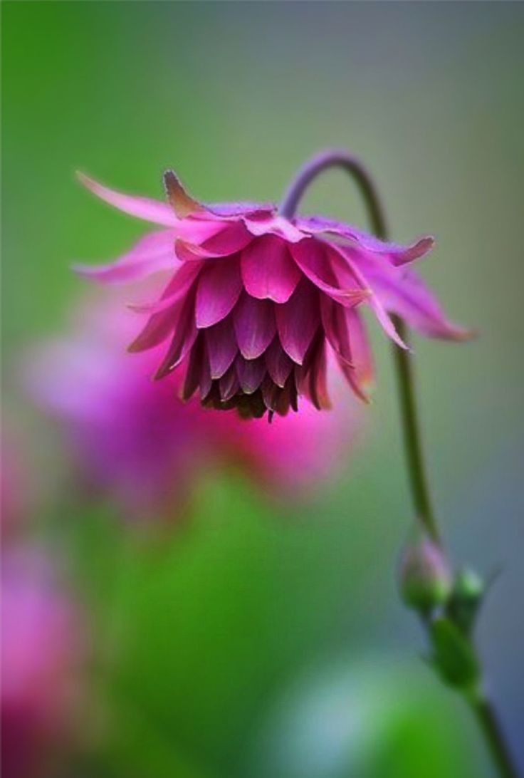 All about nature (@allaboutna91431) on Twitter photo 