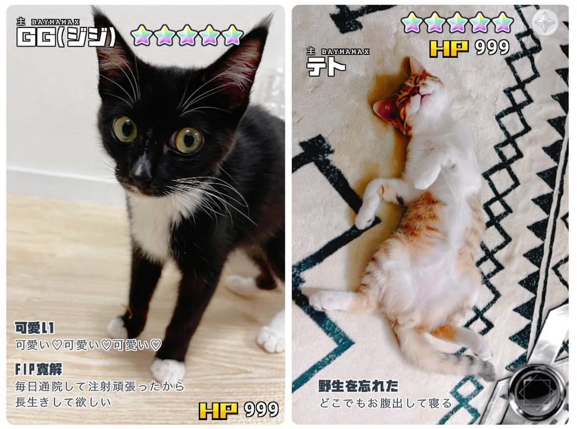 私は思いついた。
フォロワーさんが500人になったらプレゼント企画をする🎁
猫か猫スキンのスクショをリプにはってください。
500人行くまで私が癒されるためです。
ありがとう!!(お礼先に言うておく)
