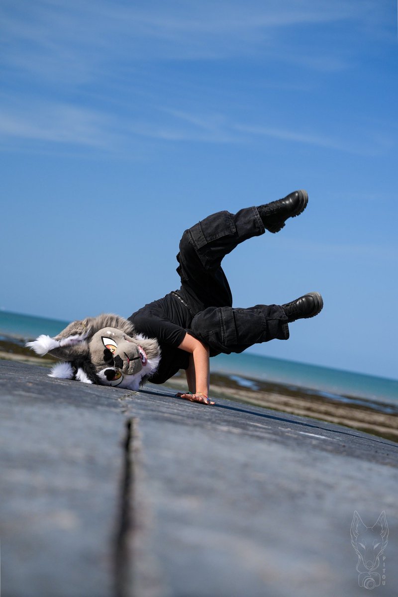 Other angle 🔃 #FursuitFriday 
Picture : <a href="/Pitou_Rikou/">Pitou Rikou</a> 
Fursuit : home-made