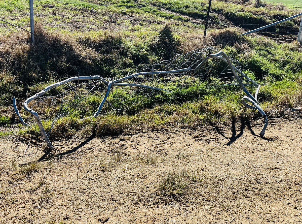 Friday farm gate 👇how can it get like this 😬
#farmgates