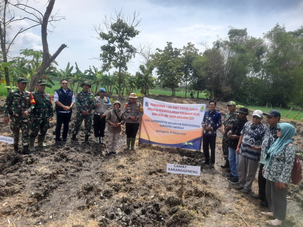 AgusWS8's tweet photo. Pemanfaatan Dana Desa Tahap I Tahun 2025 Kegiatan ROKLIM. Penanaman 1000 Pohon Sukun di Desa Bantengputih Kec. Karanggeneng Kab. Lamongan. Sebagai Upaya Adaptasi Terhadap Perubahan Iklim dan Ketahanan Pangan https://t.co/Ez2kGlg3e4